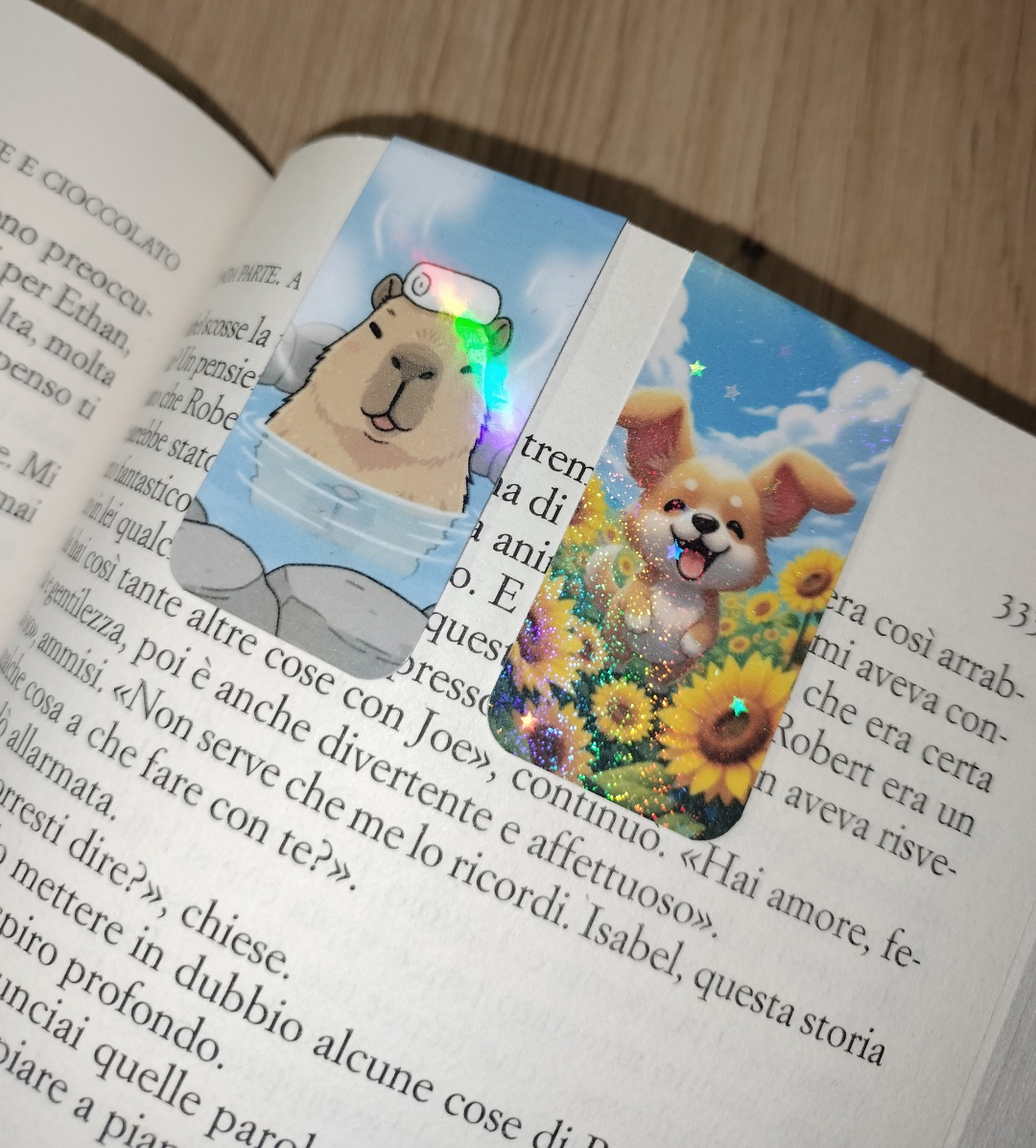 Segnalibri Magnetici su Libro